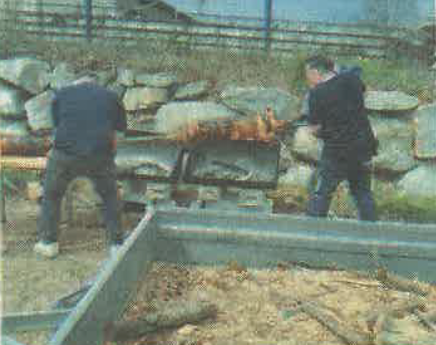 Trois cochons à la broche pour régaler les séniors de l&rsquo;Ehpad