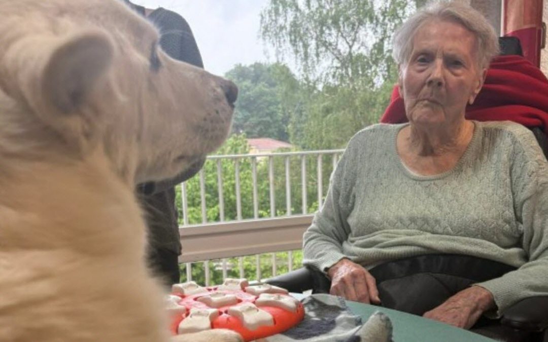 Des ateliers de médiation animale à l’Ehpad Le Grand Pré