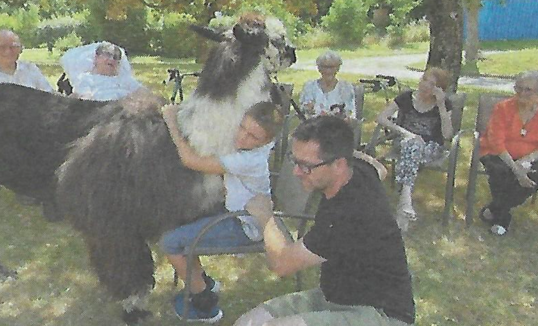 Deux lamas pour rapprocher deux générations