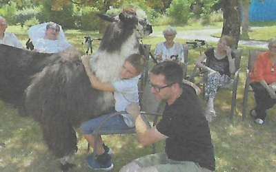 Deux lamas pour rapprocher deux générations